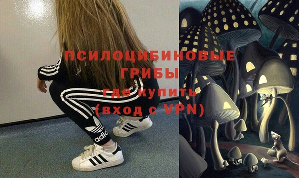 тгк Гусев