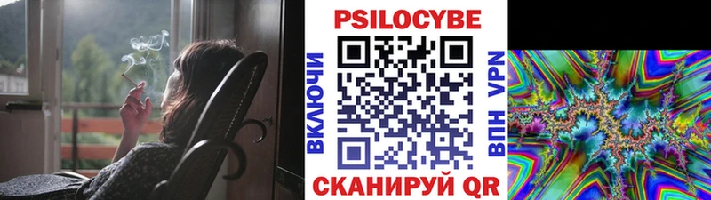 где купить наркоту  Алатырь  Псилоцибиновые грибы ЛСД 